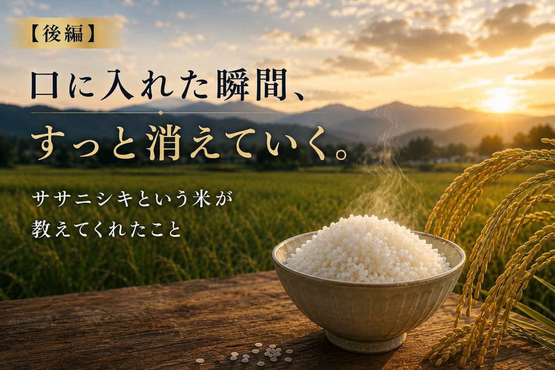 【後編】口に入れた瞬間、すっと消えていく。ササニシキという米が教えてくれたこと
