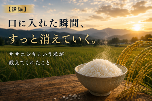 【後編】口に入れた瞬間、すっと消えていく。ササニシキという米が教えてくれたこと